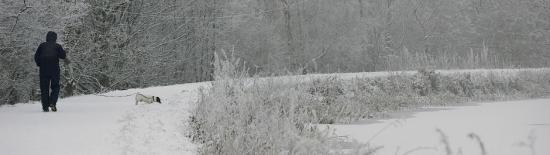 Photograph of Take extra care on icy towpaths and around frozen waters