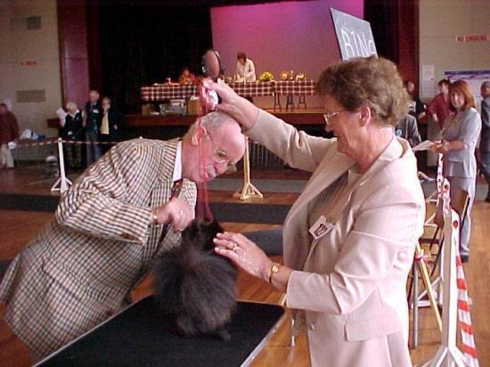 Photograph of Caithness Canine Club 2003 Open Dog Show