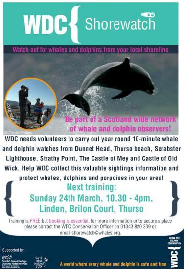 Photograph of Whale and Dolphin Shorewatch - Join In