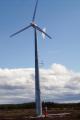 Thumbnail for article : Turning wind power into community profit