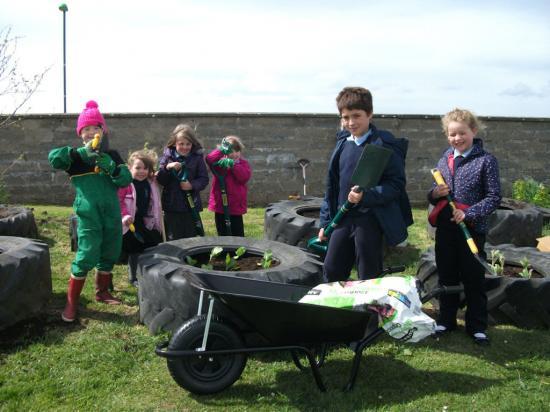 Photograph of Bower Primary School Children Get Gardening