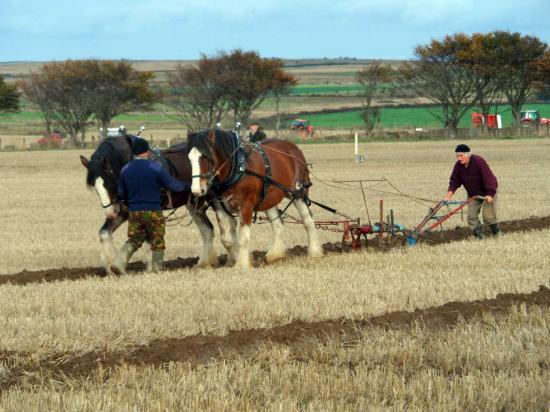 Photograph of 51st Scottish Ploughing Championships 2013