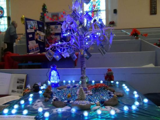 Photograph of Christmas Tree Festival At Wick St Fergus Church