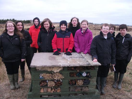 Photograph of Wick High Pupils Build Bug Hotel