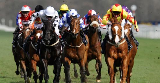 Photograph of Betting - Londoners Are Scientific and Scots Are Bravest