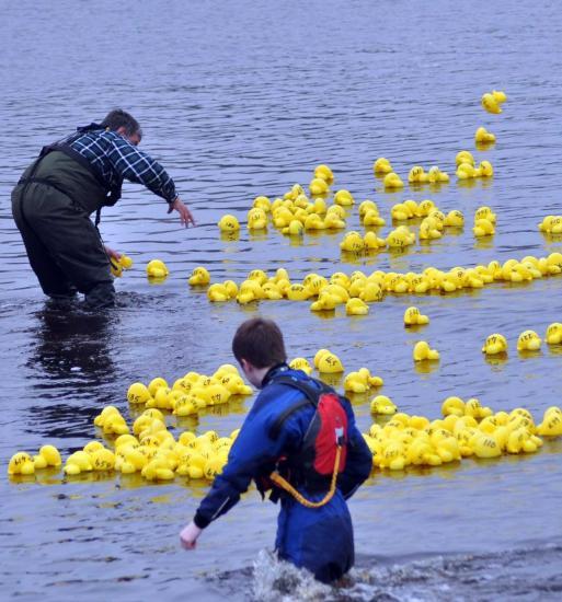 Photograph of Lifeboatmen keep duck race afloat in slow-moving river