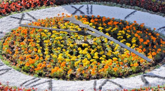 Photograph of Floral Clock at Wick