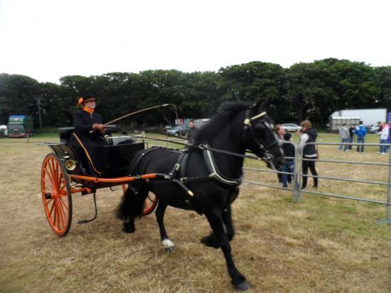 Photograph of Caithness County Show 2014 - Saturday