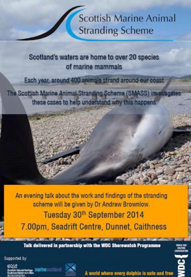 Photograph of Scottish Marine Animal Stranding Scheme Talk