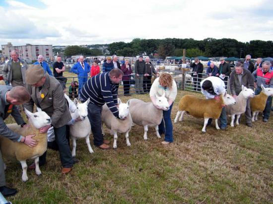 Photograph of Caithness County Show 2012