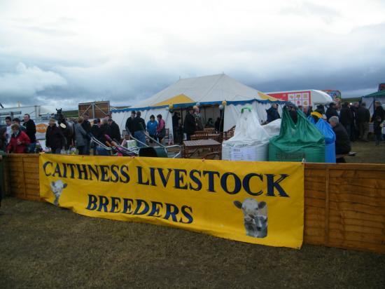 Photograph of Caithness County Show 2010