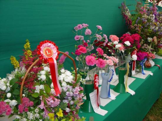 Photograph of Caithness County Show 2004