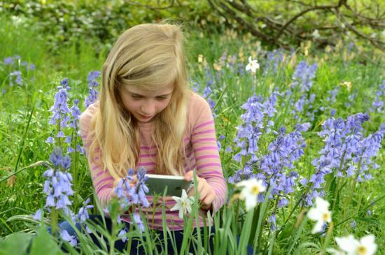 Photograph of Learning outdoors more engaging, says report