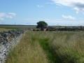 Thumbnail for article : Explore The Back of Beyond! - Munsary Peatlands 