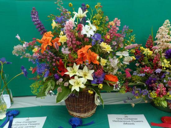 Photograph of Caithness County Show 2015