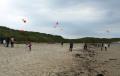 Thumbnail for article : Kites at Seadrift