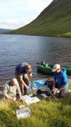 Thumbnail for article : Scotlands rarest fish finds safe haven in southern loch
