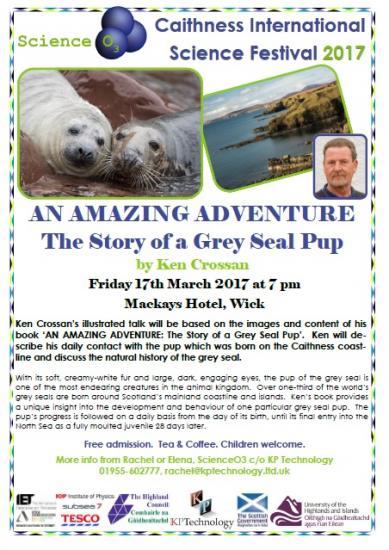 Photograph of Science Festival 2017 - The Story Of A Grey Seal Pup
