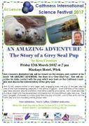 Thumbnail for article : Science Festival 2017 - The Story Of A Grey Seal Pup
