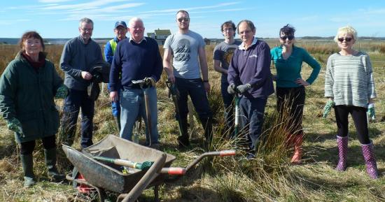 Photograph of More Tree Planting At Newtonhill near Wick