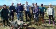 Thumbnail for article : More Tree Planting At Newtonhill near Wick