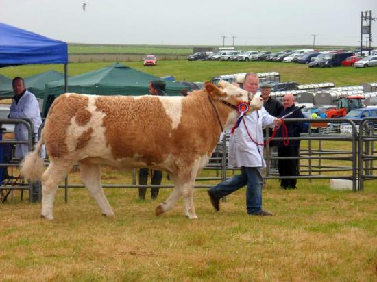 Photograph of Caithness County Show 2017 - Saturday