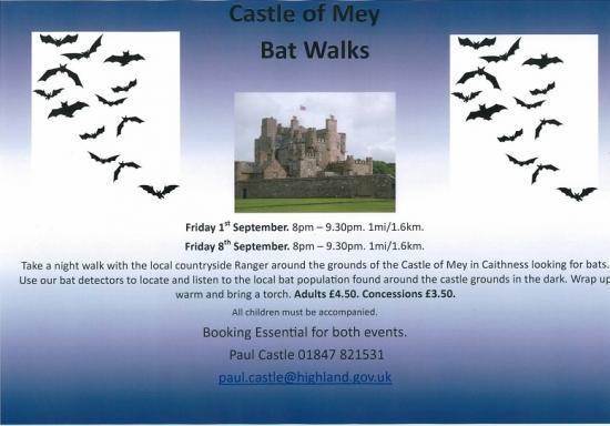 Photograph of Do You Want An Experience? - Try A Bat Night At Castle Of Mey