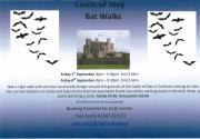 Thumbnail for article : Do You Want An Experience? - Try A Bat Night At Castle Of Mey