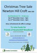 Thumbnail for article : Christmas Tree Sale - Newtonhill Croft