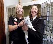 Thumbnail for article : Semichem To Partner With Scottish SPCA Caithness Rescue AND Rehoming Centre