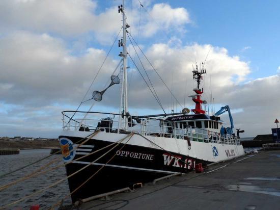 Photograph of Wick Harbour Walkabout