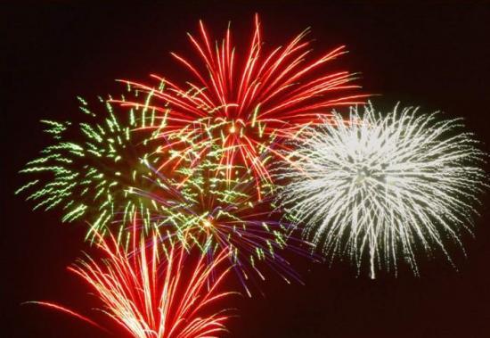 Photograph of Firework Safety Consultation