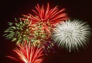 Thumbnail for article : Firework Safety Consultation