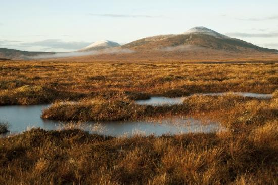 Photograph of The Flow Country - Peatland Partnership's World Heritage Site's Project Open Days