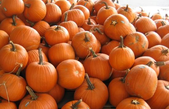 Photograph of Don't Waste Those Pumpkin Scoopings At Halloween