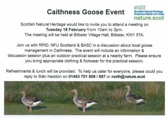 Photograph of Caithness Goose Event