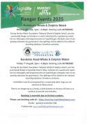 Thumbnail for article : Two Whale And Dolphin Watching Events