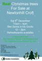 Thumbnail for article : Real Christmas Trees Sale 8th December - Newtonhill Croft