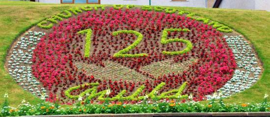 Photograph of Floral Displays at Kirkhill, Wick