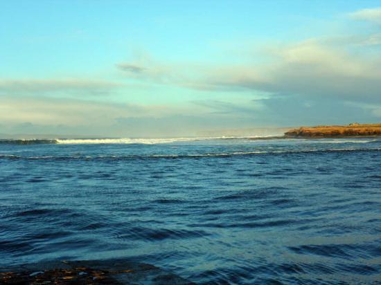 Photograph of Great Waves At Thurso East on Saturday 25th Janaury 2014