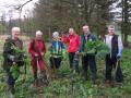 Thumbnail for article : Caithness Volunteers Get Giant Hogweed Under Control
