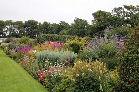 Photograph of Dunbeath Castle Gardens Open Day 2014