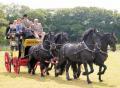 Thumbnail for article : Caithness County Show 2011