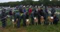 Thumbnail for article : Caithness County Show 2009