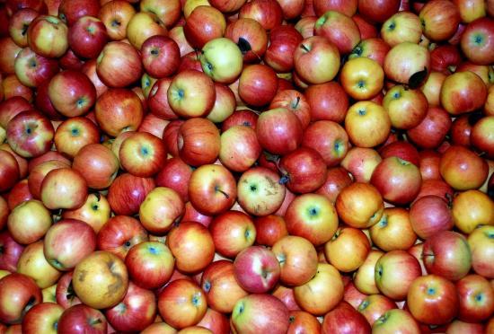 Photograph of Highland Apple Day - Saturday 24th October