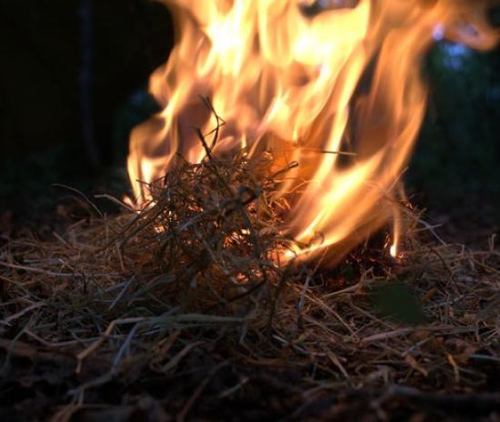 Photograph of Earth Hour Event Simple Bushcraft - Fire lighting.