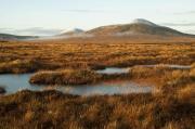 Thumbnail for article : Potential World Heritage Site in the Flow Country