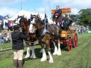 Thumbnail for article : Caithness County Show 2019
