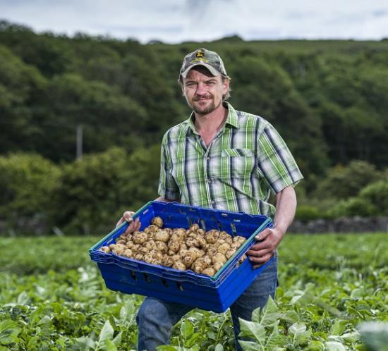 AYRSHIRE EARLY POTATOES LAUNCH IN TESCO STORES :: Community.Caithness.Org