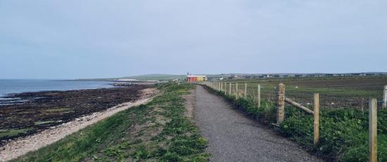 Photograph of Help Plant Wild Flowers At The John O'groats Mill Path